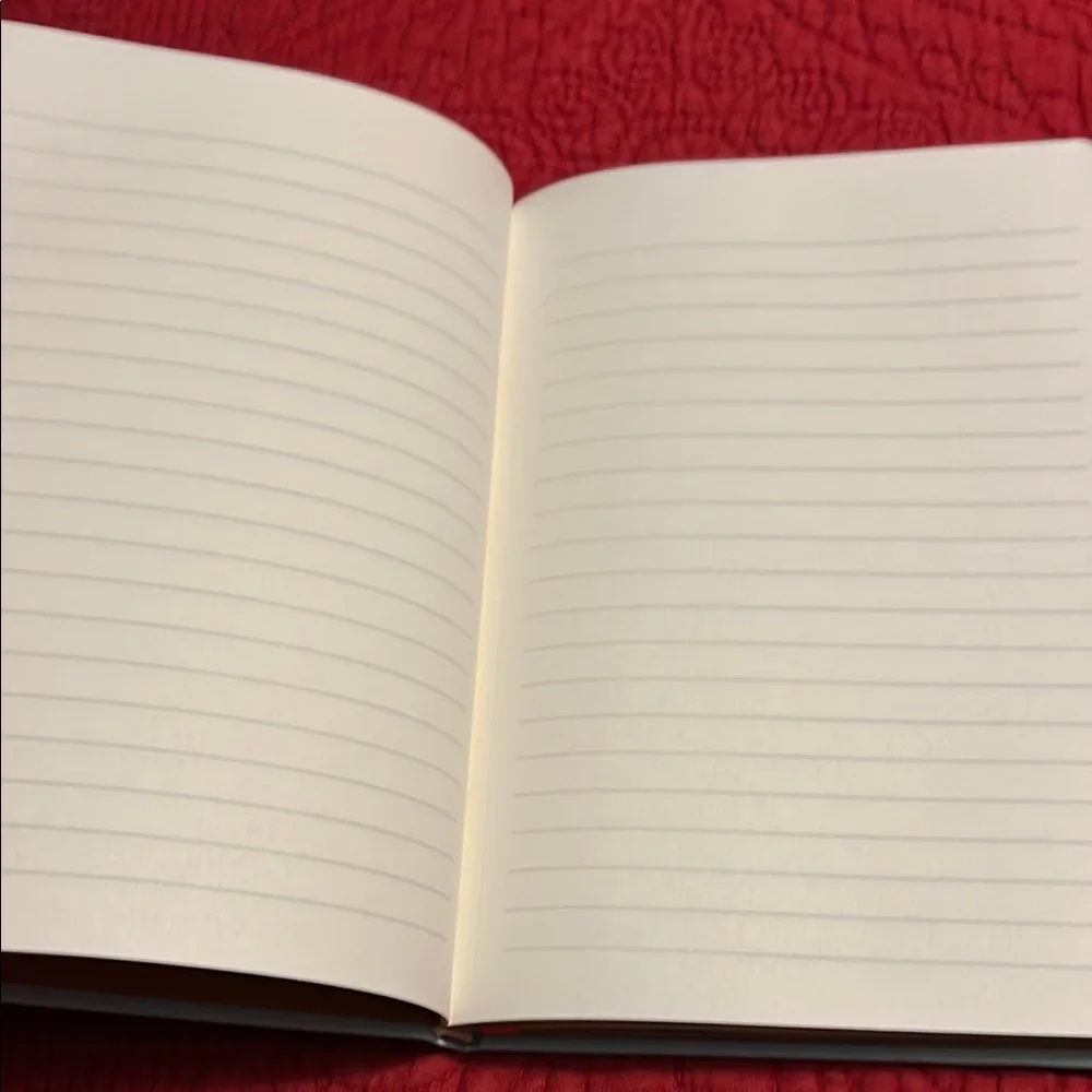 Opalhouse gold stripe journal